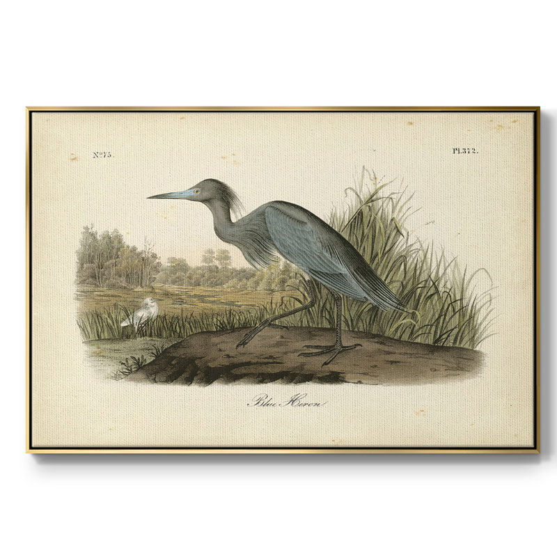 " Audubons Blue Heron " Print, 25" H x 37" W x 2" D, Gold