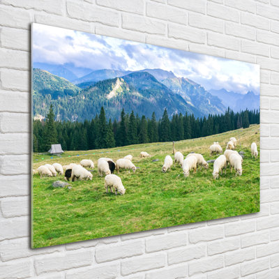 Sheep In The Tatras - Unframed Art Prints on Glass