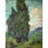 «Cypresses» par Vincent Van Gogh, affiche brillante