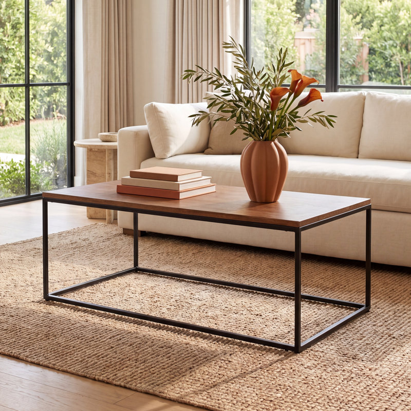 Finnigan Spataro Frame Coffee Table