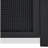 Chambers 2 Door Accent Cabinet