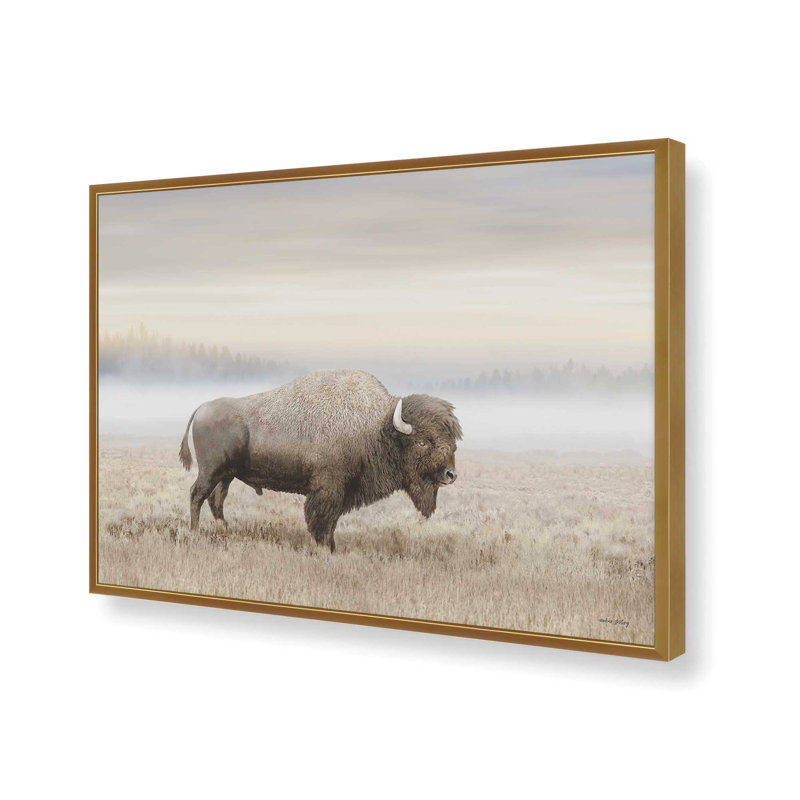 «Morning Sunrise Bison» par Amber Sterling, reproduction d'art, L 16 po x H 12 po, Doré, Impression encadrée