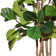 81'' Faux Palm Tree in Fiberstone Vase