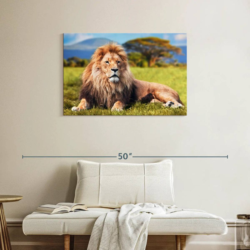 Chill Safari Lion, 24" H x 36" W
