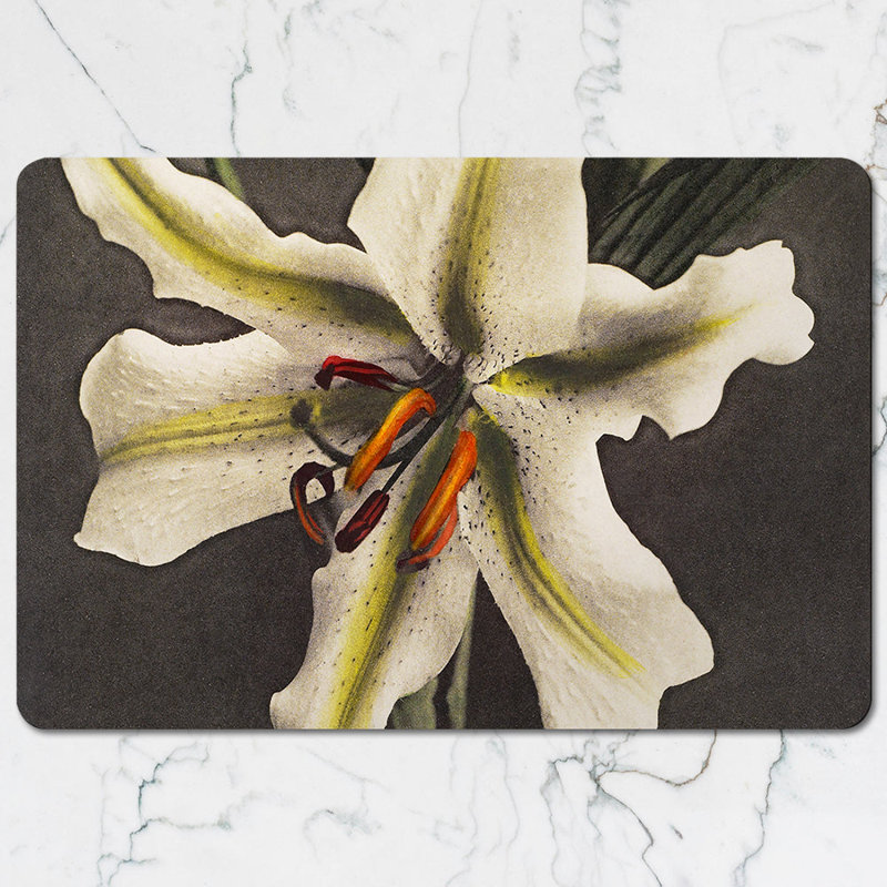 Butterfly Print Placemats And Coasters Set Beige Background