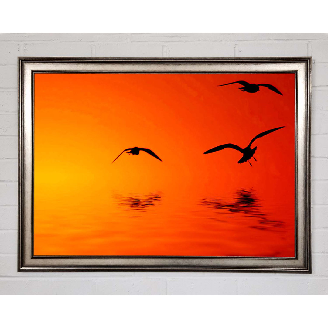 Orange Ocean Flight - Einzelner Bilderrahmen Kunstdrucke