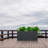 Planter Box