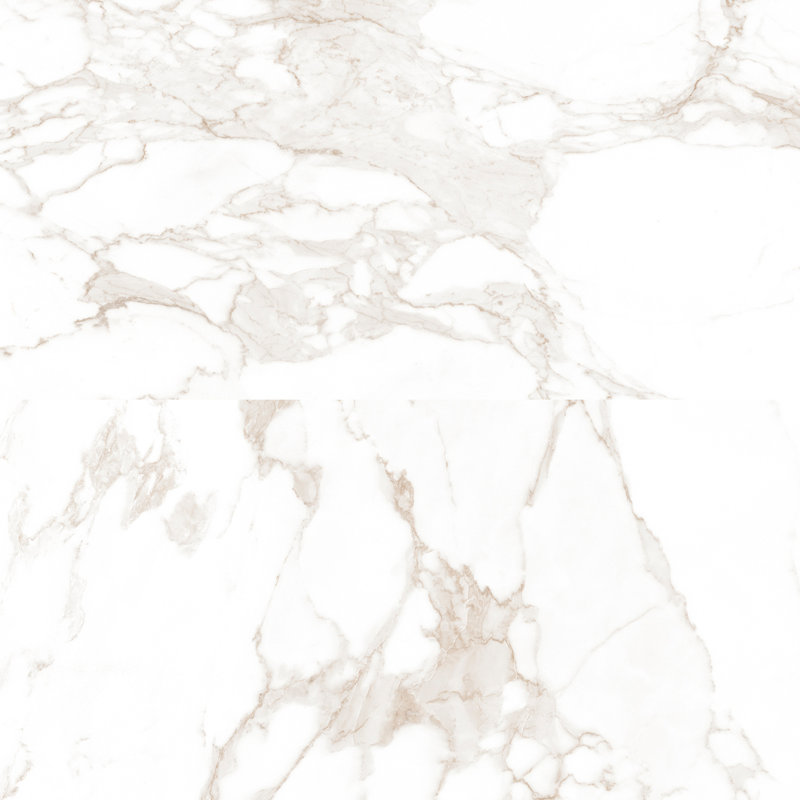 Carreau en porcelaine mate Calacatta de 12 po x 24 po Roma