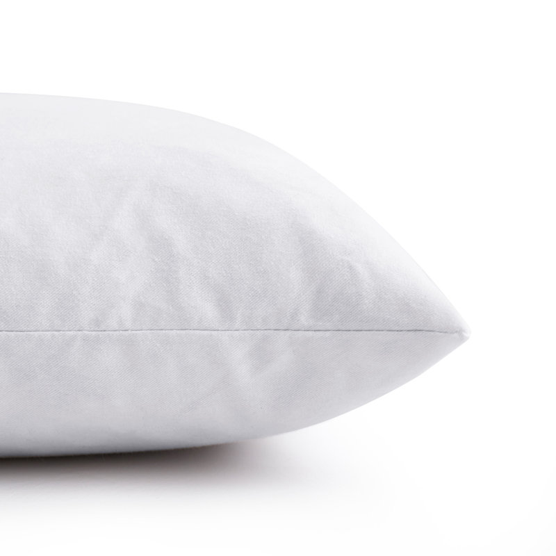 Bourrure de coussin de forme carré, 12 po x 20 po