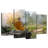 Adella Buddhist Monk Nature Meditation