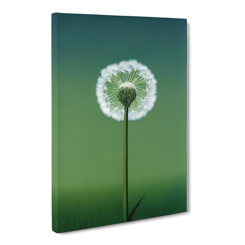 Single Dandelion - Wrapped Canvas, 50cm H x 35cm W x 3cm D