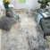 Tallulah Abstract Area Rug