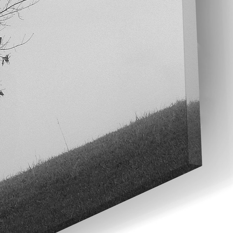 «Winter Trio I» par Nicholas Bell, photographie, H 12 po x l 12 po x P 0,13 po