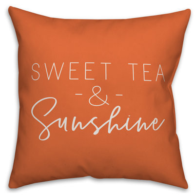  Housse de coussin carré et insert