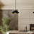 Hunter Hiro 1 Light Large Pendant Ceiling Light Fixture-114532209-114532210