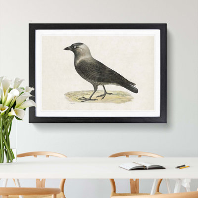 Western Jackdaw by Von Wright - Picture Frame Painting Print