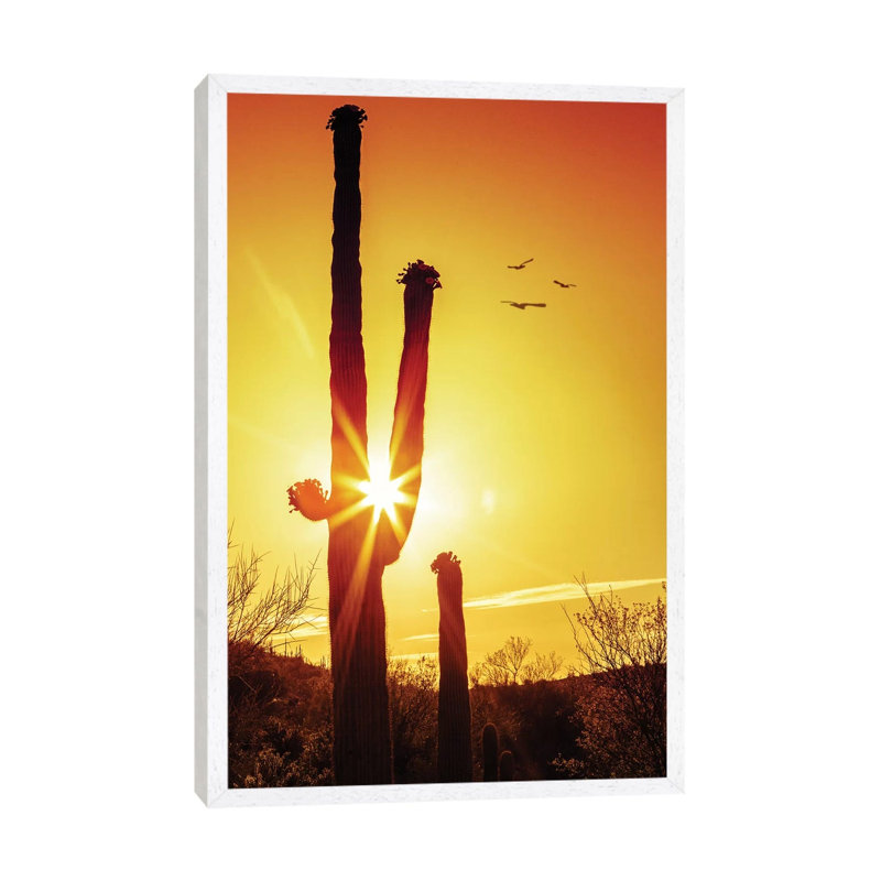 Saguaro Cactus Silhouette At Sunrise by Susan Schmitz - Print on Canvas, 101.6cm H x 66.04cm W x 3.81cm D