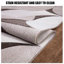 Akaylee Abstract 406.4cm X 584.2cm Area Rug-833356207