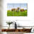 Brampt Farm Cattle-108104749