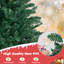 Sapin de Noël vert-1781786262