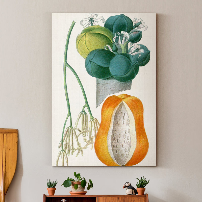 Reproduction d’art sur toile tendue « Turpin tropical fruit XII », H 20 po x l 16 po x P 1 po