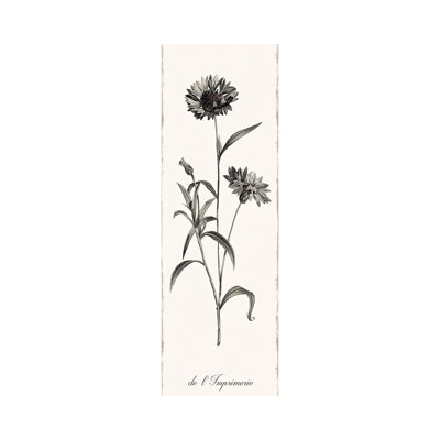 Slender Imperial 1 Piece Wrapped Canvas Panoramic Painting