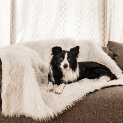 PupProtector Waterproof Throw Blanket