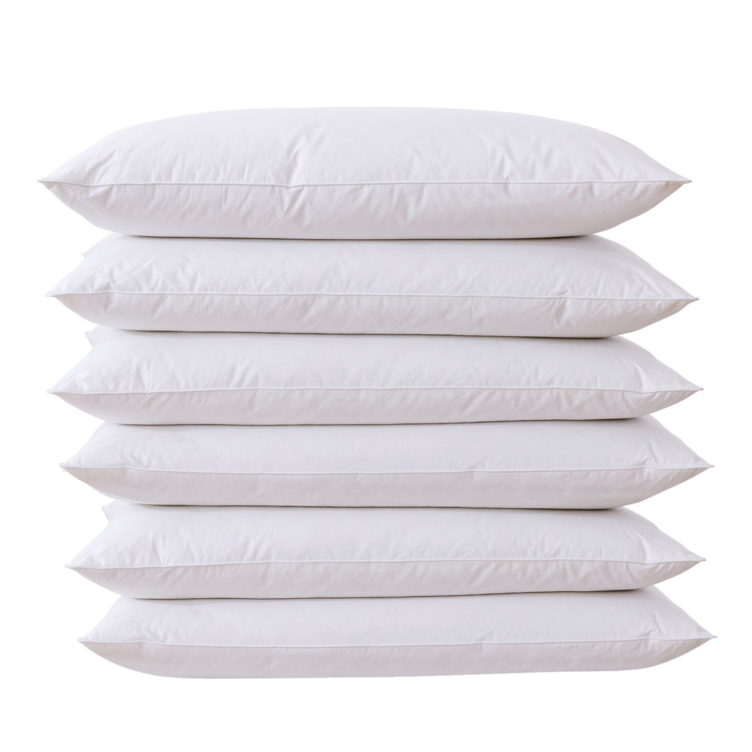 Orwigsburg Feather Plush Pillow (Set of 6) Alwyn Home