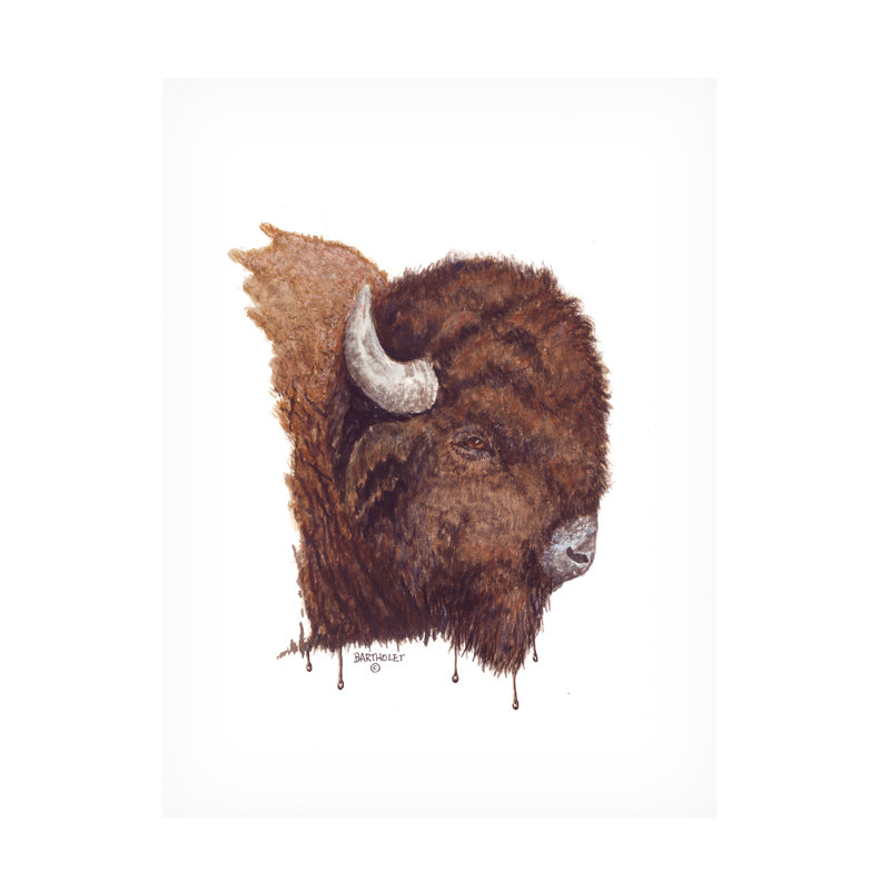 Dave Bartholet Buffler Bison Canvas Art, 24" H x 32" W