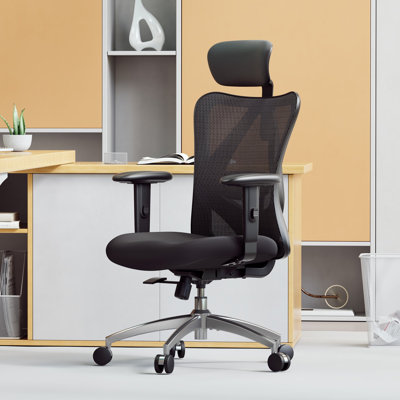 Rebrilliant Office Chair