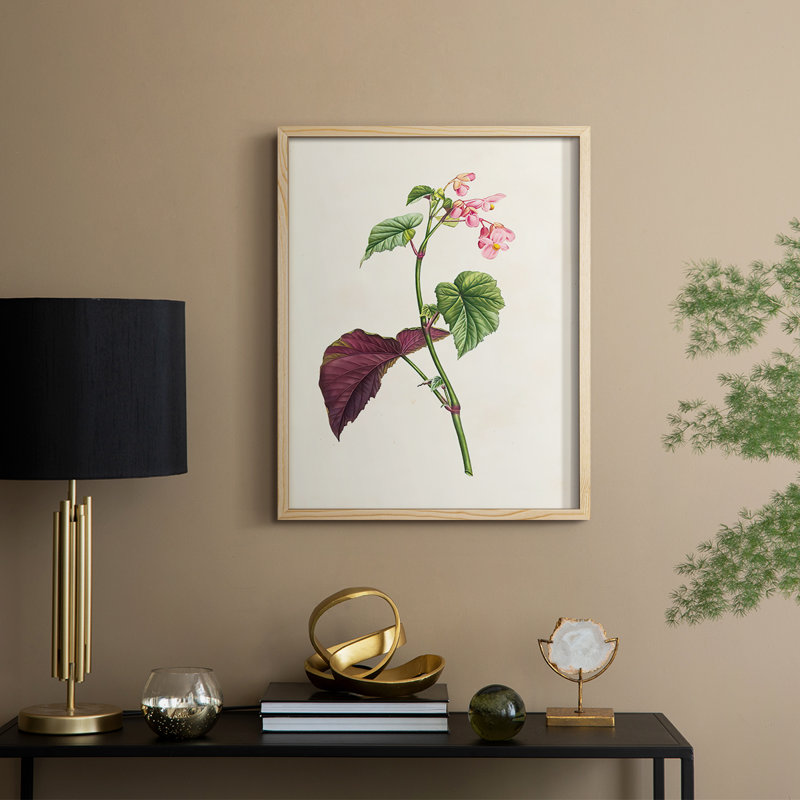 Affiche encadrée « Pretty Pink Botanicals VI » - Bois massif, Naturel, H 11 po x l 9 po