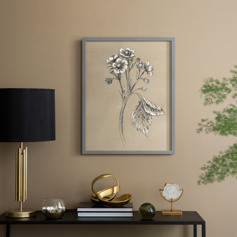 Reproduction encadrée rétro en botanique II, Gris, H 30 po x l 24 po