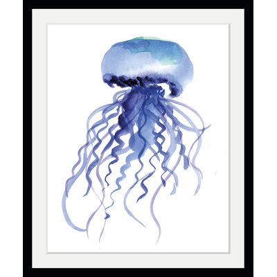 Jellyfish - Single Picture Frame Print