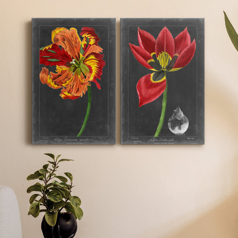 «Midnight Tulip I», ensemble de 2 reproductions d'art sur toile tendue, H 18 po x l 24 po x P 1 po