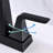 2-handle Bathroom Faucet-100150271