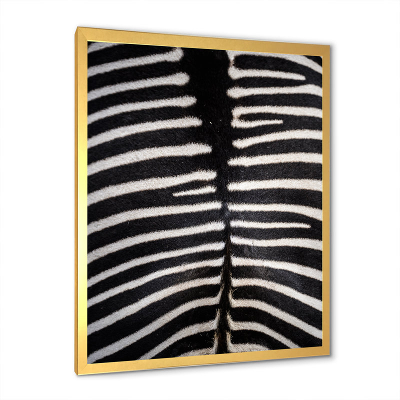 Peau de zèbre - reproduction de cadre photo sur toile, H 20 po x l 12 po x P 1 po, Toile avec cadre photo doré