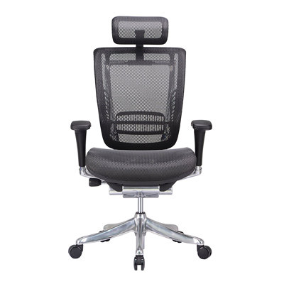 Ergonomic High Back Mesh Executive Chair with Headrest, Seat Slide, Adj Lumbar Support