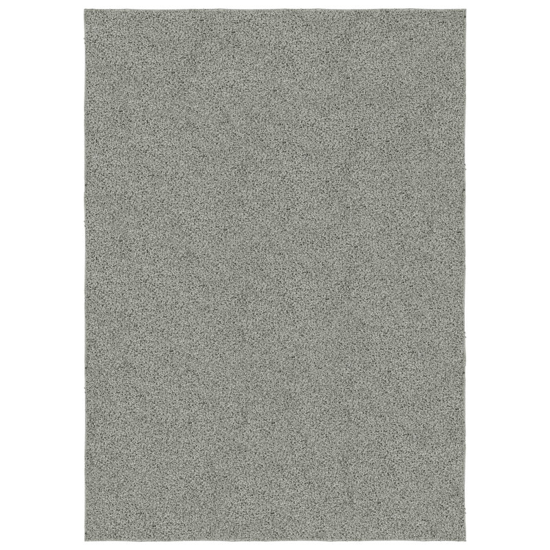 Tapis à poils longs argenté, Rectangle 60 po x 96 po
