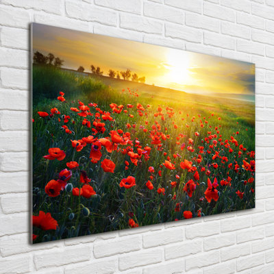 Field Of Poppies - No Frame Print on Glass