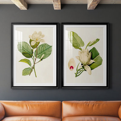 Magnolia Flowers I - Vintage Botanical Print, Matted and Framed Under Acrylic Glass, Set of 2, Living Room and Dining Room Wall Art