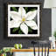 " Midnight Magnolia I "-62727054-62727055