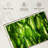Harnek Backlit Green Leaves-107720141