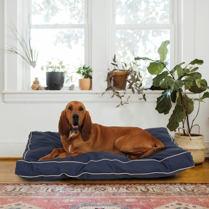 Lit orthopédique en mousse pour animal de compagnie avec housse lavable amovible, Bleu / kaki