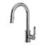 Armstrong™ Pull-Down Bar Faucet with Accessories-49377585