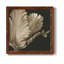 «Classical Blooms I», art mural sur toile-62718715-62718717