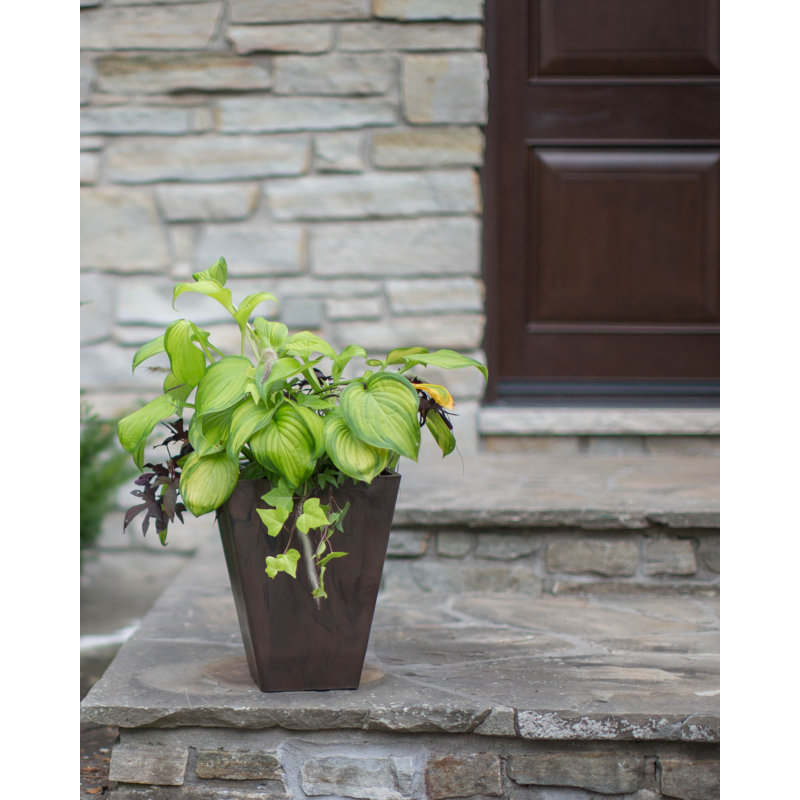 Pot à fleurs en composite avec plateau d'arrosage Cara, H 13 po x l 10 po x P 10 po, Noir mat