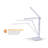 Metal Desk Lamp