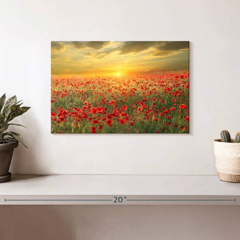 Alvord Poppy Meadow Sunset, H 8 po x l 12 po