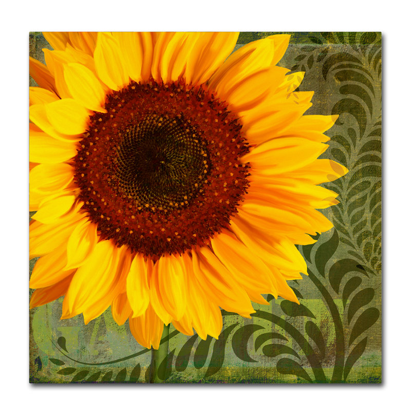 « summer sun i », reproduction d’impression sur toile tendue, H 14 po x l 14 po