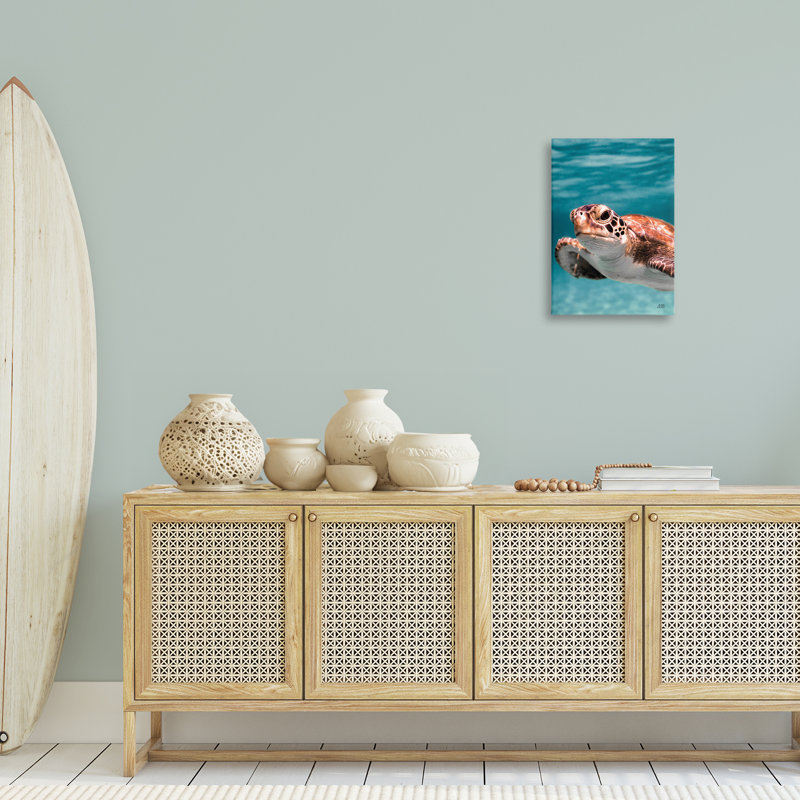 Tortue de mer sous l'eau, art mural par Max Blakesberg Studios, H 16 po x l 24 po